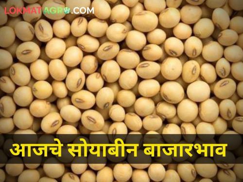 maharashtra agriculture farmer soybean market yard rates | आजचे सोयाबीनचे सविस्तर दर