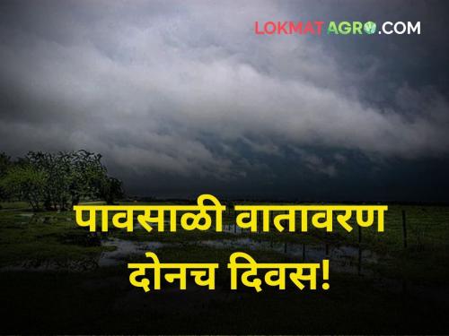 Rainy weather for only two days maharashtra farmer agriculture | पावसाळी वातावरण राहणार फक्त दोनच दिवस