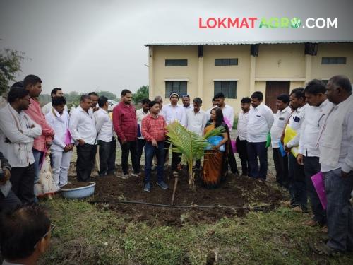 Coconut dream tree farmers workshop completed kvk khamgaon agriculture training | नारळ हा शेतकऱ्यांसाठी कल्पवृक्ष; KVK आयोजित कार्यशाळा संपन्न 