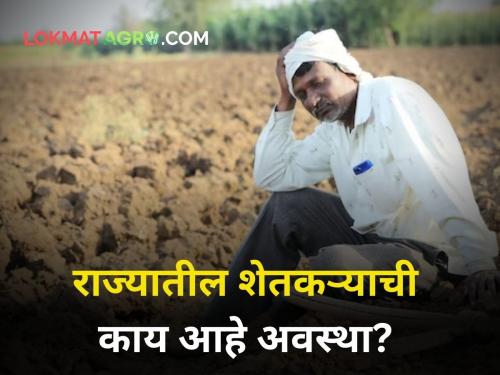 Sena MLA Disqualification Case rahul narvekar shivsena eknath shinde uddhav thackeray maharashtra politics 3 Agriculture Ministers Government unstable Farmer | Sena MLA Disqualification Case : '३ वर्षात ३ कृषीमंत्री, सरकार अस्थिर! शेतकरी वाऱ्यावर'