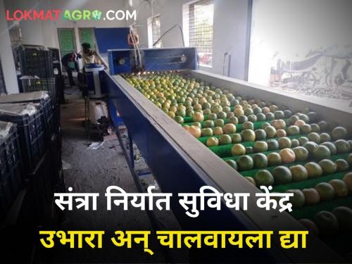 Set up and operate an Orange Export Facility nagpur orange farmer | संत्रा निर्यात सुविधा केंद्र उभारा अन् चालवायला द्या; सरकारच्या अध्यादेशामुळे संभ्रम