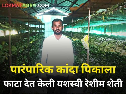 splitting the ancestral onion farmer made successful sericulture chhatrapati sambhajinagar vaijapur farmer | वडिलोपार्जित कांदा पिकाला फाटा! रेशीम शेतीत मिळवले यश 