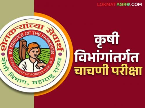 Krishi Vibhag Bharti : Professional test exam for recruitment under Krishi Vibhag | Krishi Vibhag Bharti : कृषी विभांगांतर्गत पदभरतीसाठी व्यावसायिक चाचणी परीक्षा