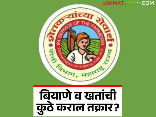 How to file a complaint with the Agriculture Department regarding seed quality, fertilizer hoarding and linking? | बियाणे गुणवत्ता, खतांची साठेबाजी व लिंकींग यासाठी कृषी विभागाकडे कशी कराल तक्रार?