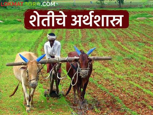 Latest News understand economics of agriculture, success in farming see details | Agriculture News : ज्याला शेतीचे अर्थशास्त्र समजले, त्याला नक्की यश मिळेल! वाचा सविस्तर 