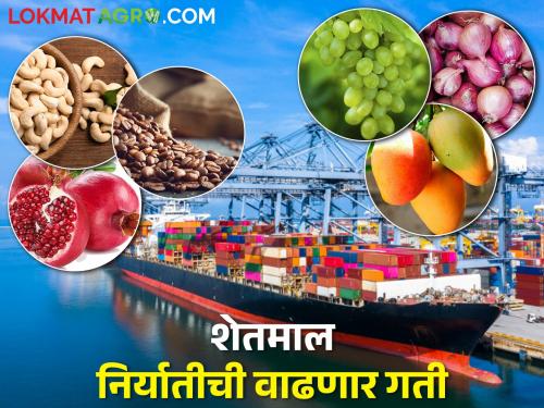 Farmer's agricultural goods will now be exported at less cost and in less time | शेतकऱ्याचा कृषिमाल आता कमी खर्चात अन् कमी वेळेत होणार निर्यात