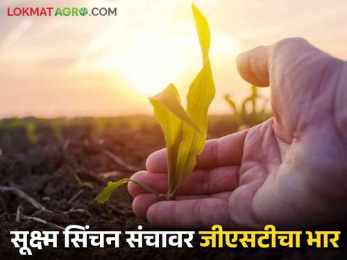 Latest News Agriculture News GST burden on fertilizers, Pesticides and micro irrigation read in detail | Agriculture News : खते, अवजारांवरील जीएसटीचा भार वाढला, शेतकऱ्यांचा एकरी खर्चही वाढला, वाचा सविस्तर