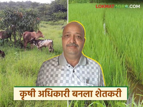 Agriculture officer becomes successful farmer; Bapat does profitable integrated farming | कृषी अधिकारी बनला यशस्वी शेतकरी; बापट यांनी केली फायद्याची एकात्मिक शेती