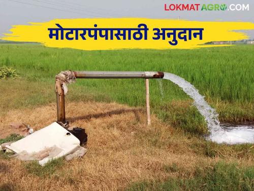 Well, motor pump, electricity connection; Subsidy up to Rs.2.5 Lakhs | विहीर, मोटारपंप, वीज जोडणी; अडीच लाख रुपयांपर्यंत अनुदान