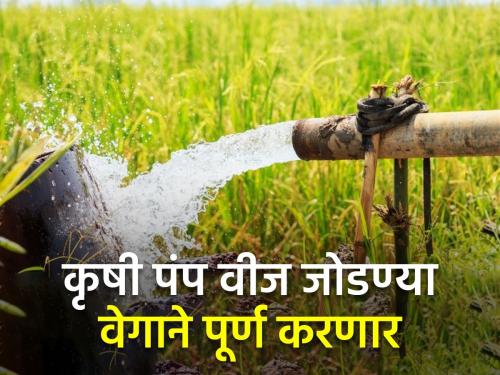 Extension of High Pressure Distribution System Scheme for Agriculture Pump Power Connection | कृषी पंप वीज जोडणीसाठी उच्च दाब वितरण प्रणाली योजनेला मुदतवाढ