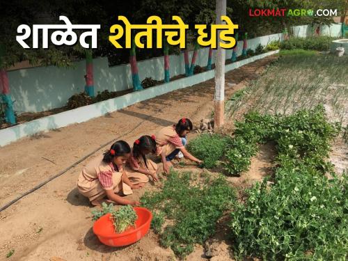 Latest News Agriculture education is necessary from primary school see details | Agriculture News : प्राथमिक शाळेपासूनच शेतीचे धडे गिरवले तर काय बिघडलं? जाणून घ्या सविस्तर 