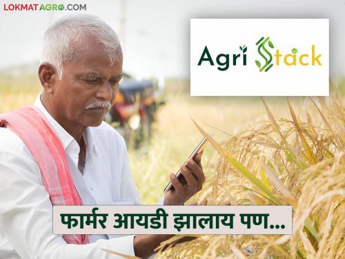 Latest News Farmer ID has been created, but problem logging in, read in detail | Farmer ID : फार्मर आयडी तयार झालाय, पण लॉग इन करायला अडचण येतेय, वाचा सविस्तर 
