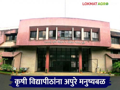 More than half of the seats in agricultural universities in the state are vacant; How many posts are vacant in which university? | राज्यातील कृषी विद्यापीठांत निम्म्याहून अधिक जागा रिक्त; कोणत्या विद्यापीठात किती पदे रिक्त?