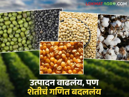 latest news Agricultural Production: Agricultural production increased, but area decreased; Know which crops are next! Read in detail | Agricultural Production : शेतीत उत्पादन वाढले, पण क्षेत्र घटले; जाणून घ्या कोणती पिकं पुढे! वाचा सविस्तर