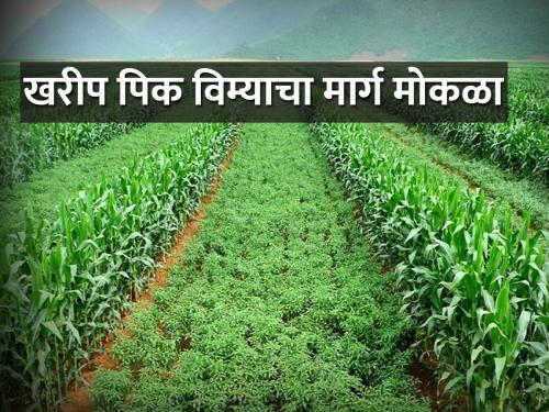 relief to farmers; The state government will pay an installment of 1 thousand crores | शेतकऱ्यांना दिलासा; राज्य सरकार १ हजार कोटींचा देणार हप्ता