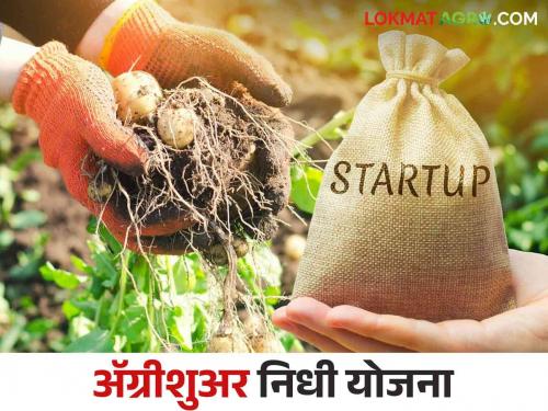 AgriSURE Fund : Good News for Startups and Rural Entrepreneurs Agriculture Fund Scheme | AgriSURE Fund : स्टार्टअप्स आणि ग्रामीण उद्योजकांसाठी खुशखबर आली कृषीविषयक निधी योजना