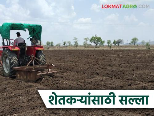 latest news Krushi salla: Storm warning for Marathwada; Farmers be careful! Read in detail | Krushi salla : मराठवाड्याला वादळी इशारा; शेतकऱ्यांनो काळजी घ्या! वाचा सविस्तर