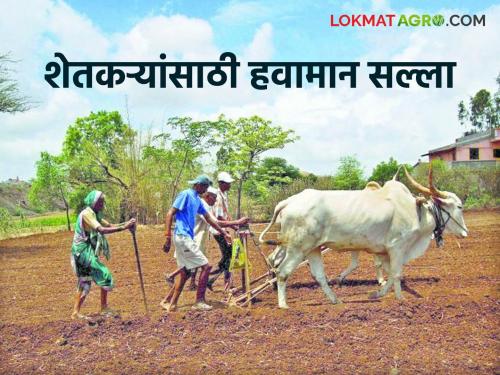 latest news Krushi Salla: Read useful information for sowing soybean, jowar, millet here | Krushi Salla : सोयाबीन, ज्वारी, बाजरी पेरणीसाठी उपयुक्त माहिती इथे वाचा