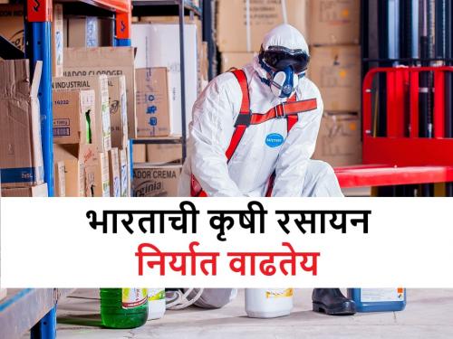 agro chemical industry is growing with 9% rate in India | शेतीत रसायनांचा वापर वाढतोय? कृषी रसायनांचा उद्योग ९ टक्के वाढणार