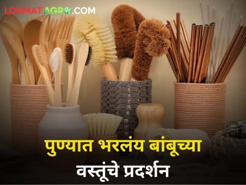 Bamboo bottle socks shirt watch and more Exhibition bamboo products held in Pune | बांबूची बाटली, सॉक्स, शर्ट, घड्याळ अन् बरंच काही! पुण्यात भरलंय बांबूच्या वस्तूंचे प्रदर्शन