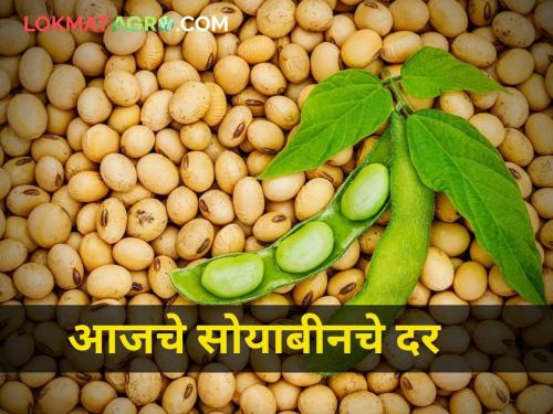 How much was the price of soybeans today farmer agriculture market yard | आज सोयाबीनला किती होता दर?