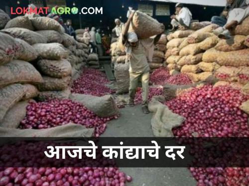 maharashtra farmer onion farmer market yard decline onion rates today | कांद्याची घसरण सुरूच! पाहा आजचे दर