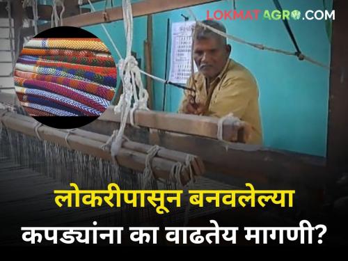 Why demand for handloom garments made of wool increasing day by day agriculture goat farming | लोकरीपासून बनवलेल्या हातमागांवरील कपड्यांना दिवसेंदिवस का वाढतेय मागणी?