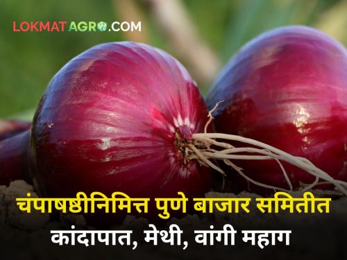 champashasti pune market yard onion rate grow agriculture farmer | चंपाषष्ठीनिमित्त पुणे बाजार समितीत कांदापात, मेथी, वांगी महाग