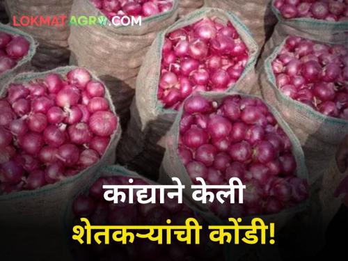 Inflow onion increased in Solapur onion market yard farmer | कांद्याने केली शेतकऱ्यांची कोंडी! दर केवळ १४ रूपये