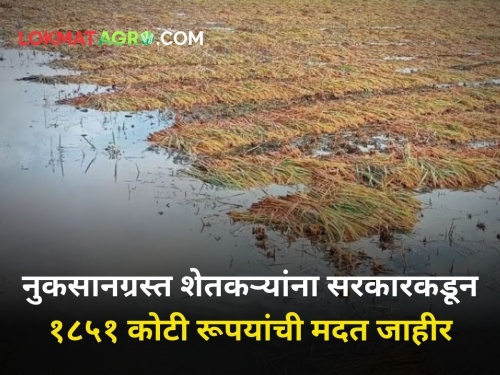 maharashtra government announced aid 1851 crores rupees farmers affected by hail | गारपिटीने नुकसान झालेल्या शेतकऱ्यांना सरकारकडून १८५१ कोटी रूपयांची मदत जाहीर