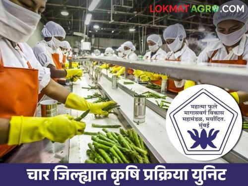 Latest News Agricultural processing units in four districts of state | राज्यातील चार जिल्ह्यात कृषी प्रक्रिया युनिट, अनेकांना रोजगार मिळणार 