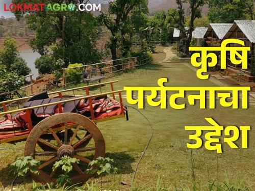 Latest News What are the qualifications for agritourism business? see detail's | कृषी पर्यटन नेमकं कसं असावं, आवश्यक गोष्टी काय? वाचा सविस्तर 