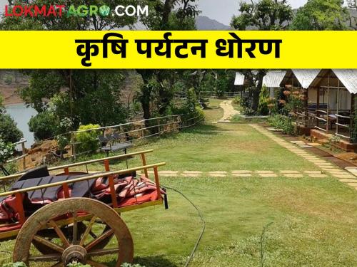 Latest News What exactly is agricultural tourism policy of the Maharashtra government? | महाराष्ट्र शासनाच कृषि पर्यटन धोरण नेमक कसं आहे? 