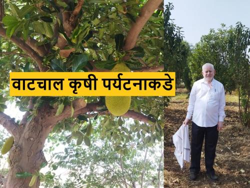 success story of dr sitaram jadhav from kannad who is apple farmer | खडकाळ जमिनीत पिकवले सफरचंद; आता कृषी पर्यटनाकडे वाटचाल