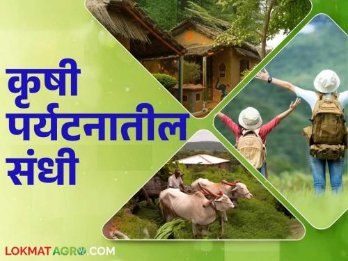 This complementary business will earn you a lot of money in a busy life; Read in detail | धकाधकीच्या जीवनात हा शेतीपूरक व्यवसाय कमवून देईल बक्कळ पैसे; वाचा सविस्तर