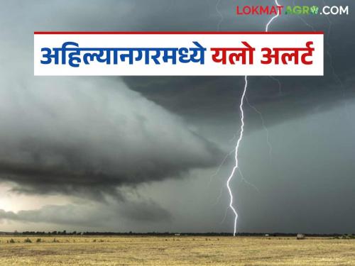 Rain with gusty winds likely for next three days in this district of the state; Yellow alert issued | राज्यातील या जिल्ह्यात पुढील तीन दिवस वादळी वाऱ्यासह पावसाची शक्यता; यलो अलर्ट जारी