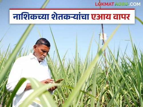 Latest News AI In agriculture Farmers add AI to drip automation in nashik district | पिकाला पाणी किती द्यायचं? कधी बंद करायचं? शेतकऱ्यांनी ड्रीप ऑटोमेशनला दिली एआयची जोड