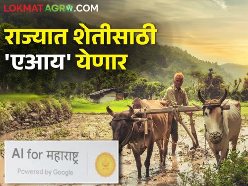 'AI' technology to predict climate change, wet and dry drought in the state | राज्यात हवामान बदल, ओला आणि सुका दुष्काळ यांचा अंदाज घेण्यासाठी येणार 'एआय' तंत्रज्ञान