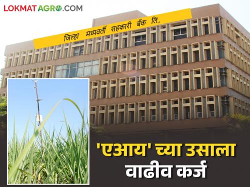 This district bank will provide increased loans to farmers using AI in sugarcane farming | ऊस शेतीमध्ये 'एआय'चा वापर करणाऱ्या शेतकऱ्यांना 'ही' जिल्हा बँक देणार वाढीव कर्ज