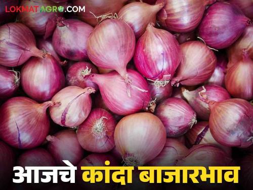 Latest News Kanda Bajarbhav see onion market price on vidhansabha election result day Read in detail | Kanda Bajarbhav : विधानसभा निकालाच्या दिवशी कांद्याला काय भाव मिळाला? वाचा सविस्तर