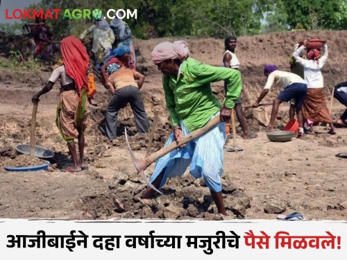Latest News Arrear difference amount earned by daily laborers in Bhandara district | आजीबाईची कमाल, अशी मिळवली दहा वर्षांपूर्वीची मजुरीची रक्कम, वाचा सविस्तर 