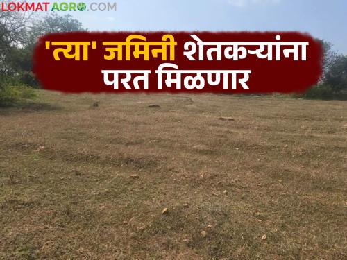 Farmers will get back 'those' lands by paying five percent of the donation; know the details | पाच टक्के नजराणा भरून 'त्या' जमिनी शेतकऱ्यांना परत मिळणार; जाणून घ्या सविस्तर