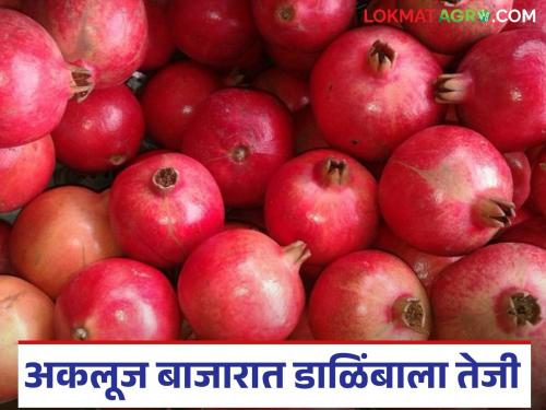 Dalimb Bajar Bhav: Pomegranate has the highest price in Akluj Market Committee; How did you get the price per kilo? | Dalimb Bajar Bhav : अकलूज बाजार समितीत डाळिंबाला सर्वाधिक भाव; प्रति किलो कसा मिळाला दर?