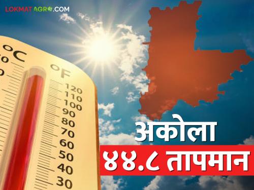 Akola is the most 'hot; The highest temperature of this summer was recorded on Wednesday | अकोला सर्वाधिक 'हॉट; यंदाच्या उन्हाळ्यातील सर्वाधिक तापमान बुधवारी नोंदविले गेले