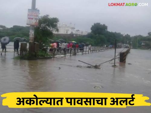 Market Yard : 'Chance of rain; Farmers! 'Take care of the farm products' | Market Yard : 'पावसाची शक्यता; शेतकऱ्यांनो ! 'शेतमालाची काळजी घ्या'