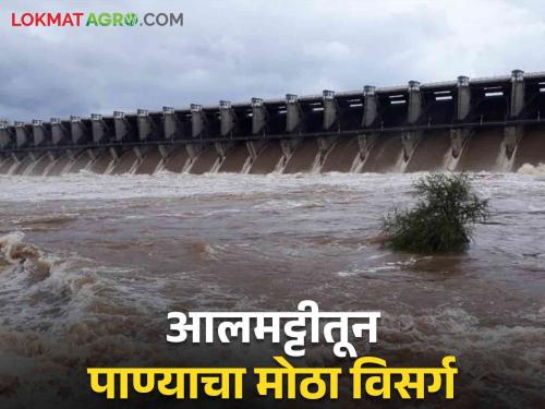 Almatti Dam: All 26 gates of Almatti Dam are open, will the risk of flood increase? | Almatti Dam: अलमट्टी धरणाचे सर्वच २६ दरवाजे उघडले पुराचा धोका वाढणार?