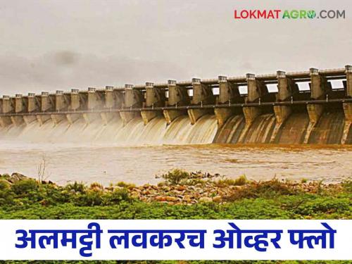 Almatti Dam: Rapid rise in Almatti dam water Capacity, how much percentage of water storage in the dam | Almatti Dam: अलमट्टीच्या पाण्यात झपाट्याने वाढ, धरणात किती टक्के पाणीसाठा