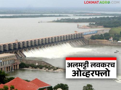 Almatti Dam Update : Almatti Dam can fill to 100 percent at any moment; Big increase in discharge | Almatti Dam Update : कोणत्याही क्षणी अलमट्टी धरण १०० टक्के भरू शकते; विसर्गात मोठी वाढ
