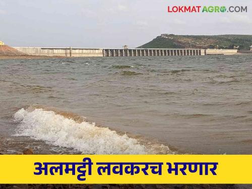 Almatti Dam: how much percentage of water in Almatti Dam? How much water came into these major dams in western Maharashtra.. read in detail | Almatti Dam: अलमट्टी धरण किती टक्के भरले? पश्चिम महाराष्ट्रातील या प्रमुख धरणांत आलं किती पाणी.. वाचा सविस्तर