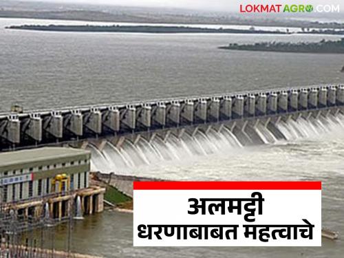 Latest news CM Devendra Fadnavis tells Jal Shakti Minister not to increase the height of Almatti Dam | अलमट्टी धरणाची उंची वाढवू नये, मुख्यमंत्री देवेंद्र फडणवीस यांचे जलशक्ती मंत्र्यांना पत्र